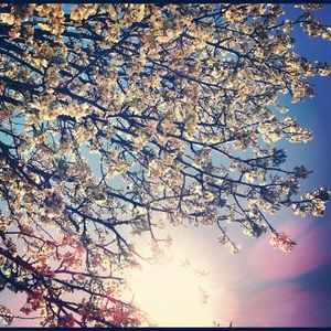 Meet your Posher, Joe